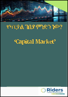 Introduction to Capital Market 101.pdf